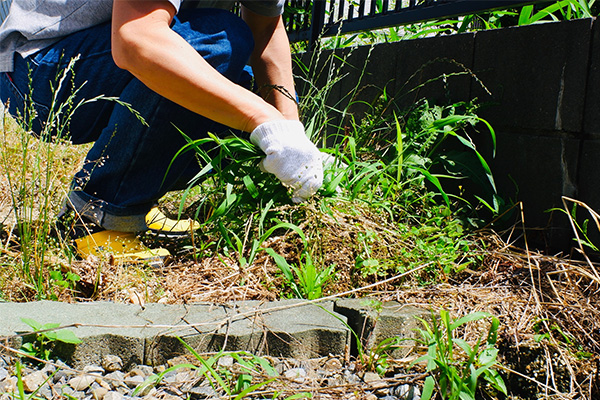 助っ人パンダ洗隊のサービス内容